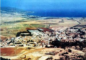 El ancor 24